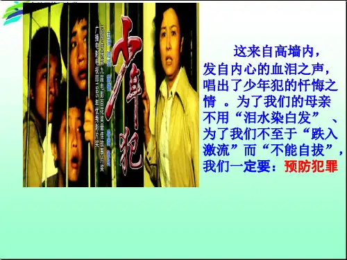 5.2-预防犯罪-课件(31张ppt)