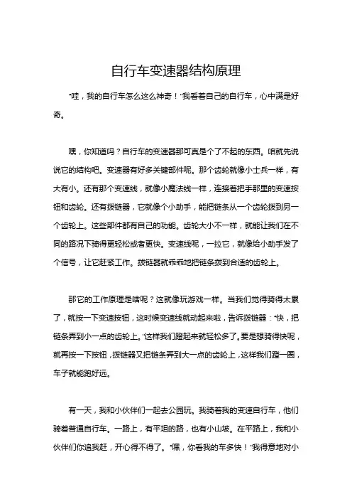 自行车变速器结构原理