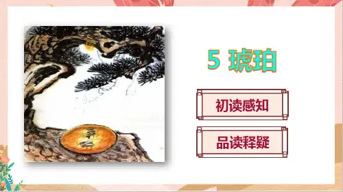 《琥珀》课件PPT(完美版)