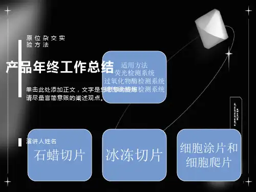 原位杂交实验方法