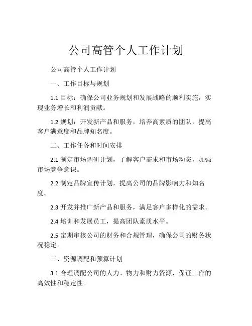 公司高管个人工作计划