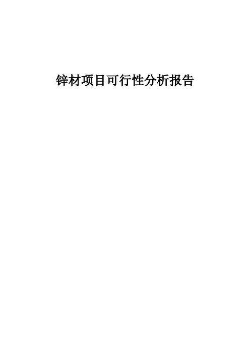 锌材项目可行性分析报告