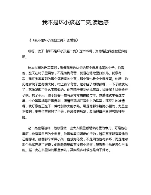 我不是坏小孩赵二亮,读后感
