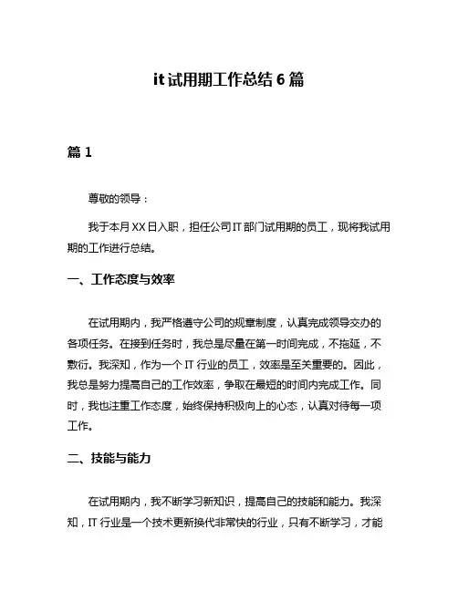 it试用期工作总结6篇