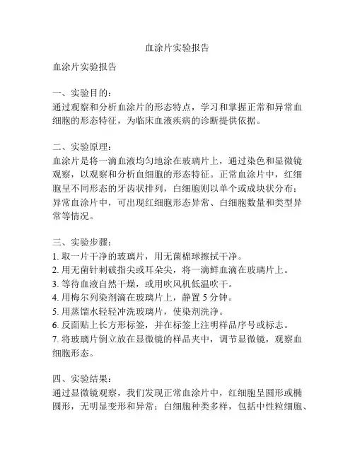 血涂片实验报告