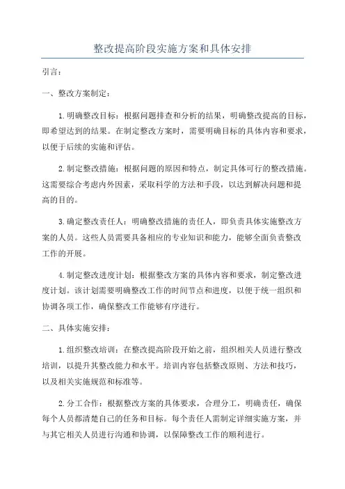 整改提高阶段实施方案和具体安排