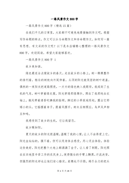 一路风景作文800字