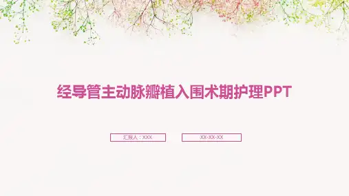 经导管主动脉瓣植入围术期护理PPT