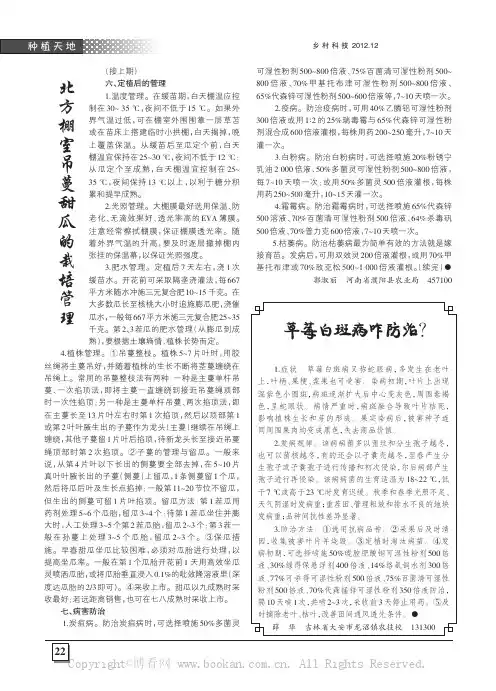 北方棚室吊蔓甜瓜的栽培管理