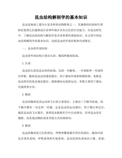 昆虫结构解剖学的基本知识
