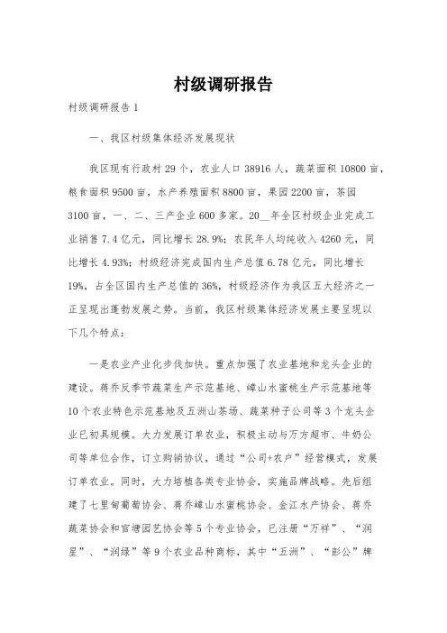 村级调研报告