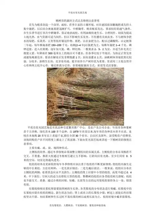 桃树苗的栽培方式以及修剪注意事项
