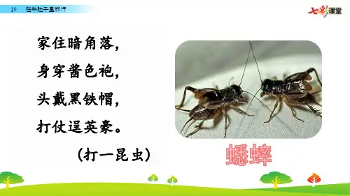 部编版小学语文三年级上册教学PPT课件10 在牛肚子里旅行