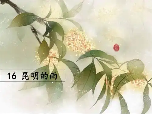 《昆明的雨》课件16张PPT