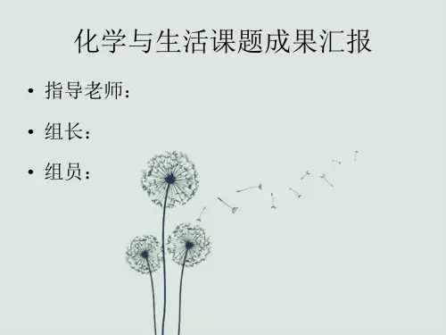 高一化学研究性学习成果