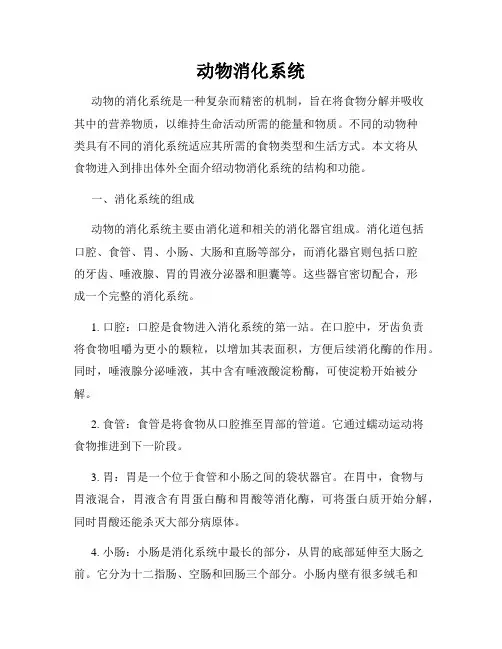 动物消化系统