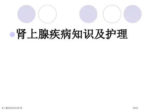 肾上腺疾病知识及护理专家讲座
