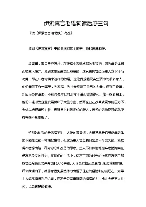 伊索寓言老猎狗读后感三句