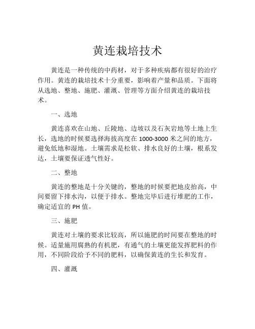 黄连栽培技术