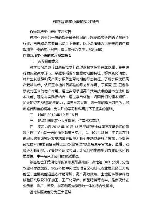 作物栽培学小麦的实习报告