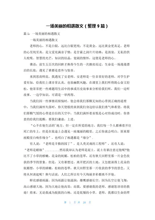 一场美丽的相遇散文(整理9篇)