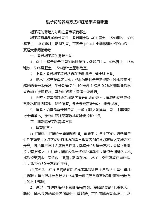 栀子花的养殖方法和注意事项有哪些