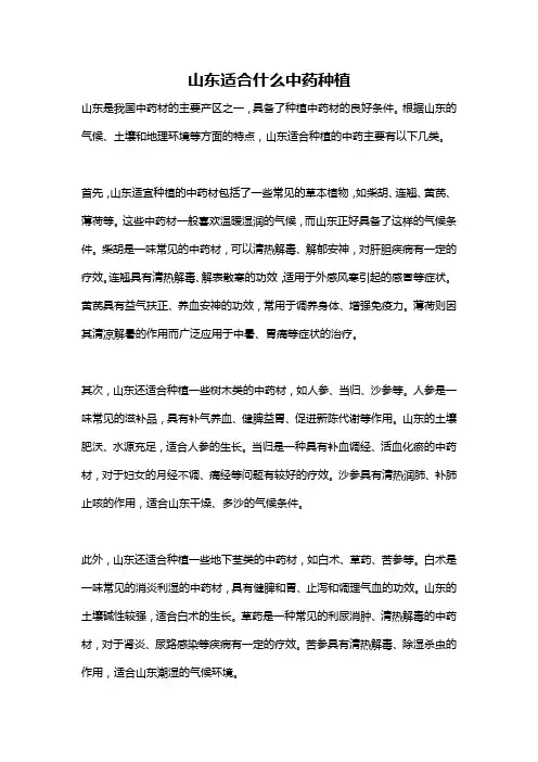 山东适合什么中药种植