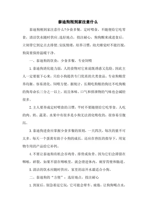 泰迪狗刚到家注意什么
