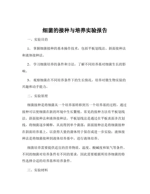 细菌的接种与培养实验报告