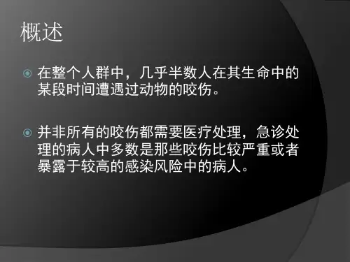 狗咬伤的处理PPT课件