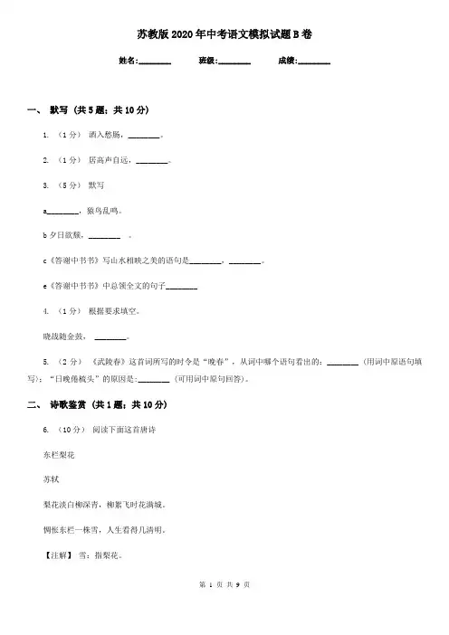 苏教版2020年中考语文模拟试题B卷