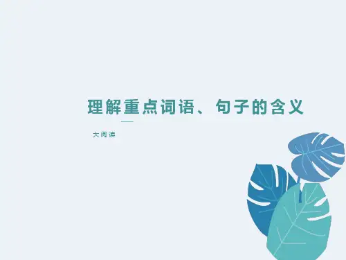 理解重点词语、句子的含义