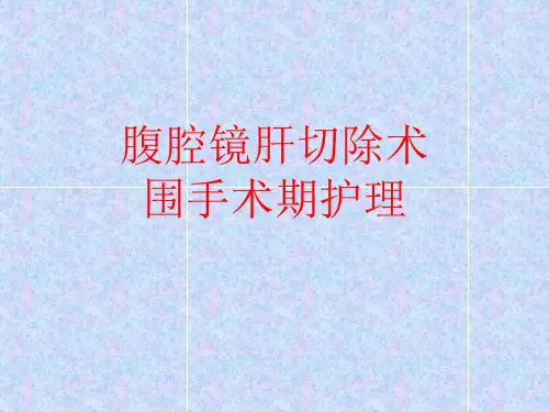 三甲医院《肝脏围手术期护理》课件