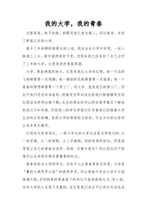 我的大学,我的青春