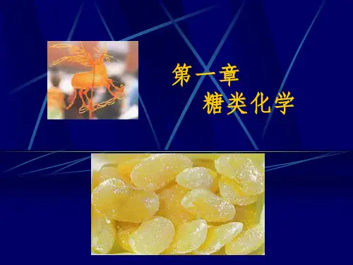 第1章 糖类化学