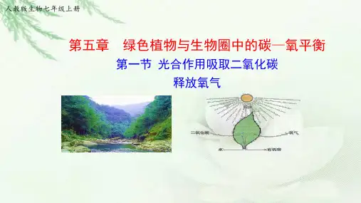 七上第三单元第五章第一节《光合作用吸收二氧化碳释放氧气》课件(人教版生物)