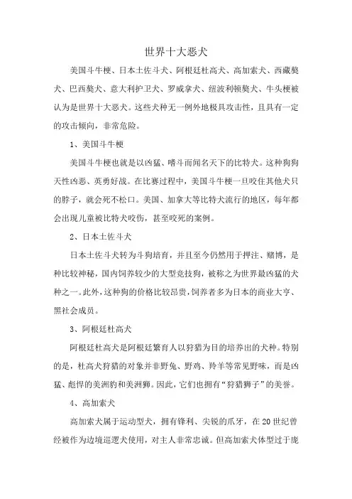 世界十大恶犬