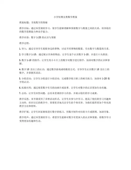 小学短期支教数学教案