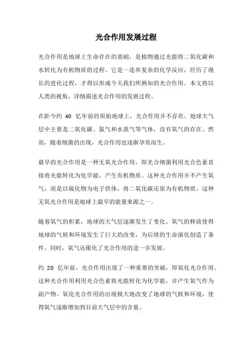 光合作用发展过程