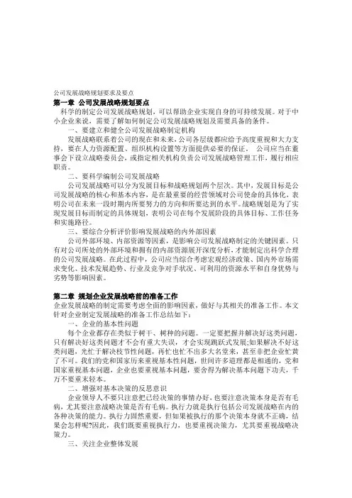 公司发展战略规划要求及要点