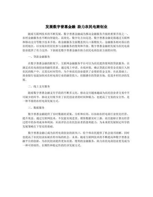 发展数字普惠金融 助力农民电商创业
