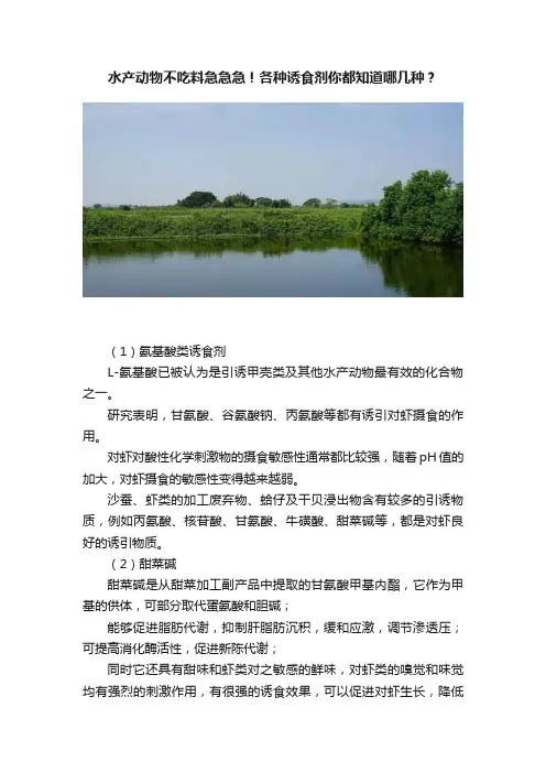 水产动物不吃料急急急！各种诱食剂你都知道哪几种？