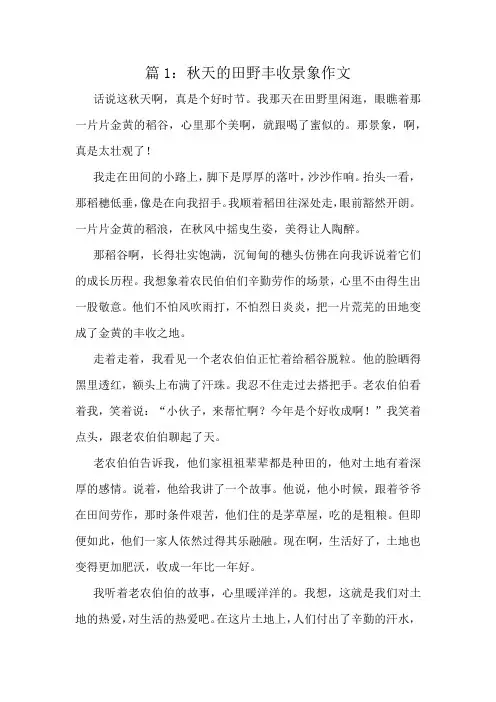 秋天的田野丰收景象作文精选10篇