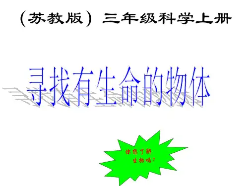 寻找有生命的物体课件