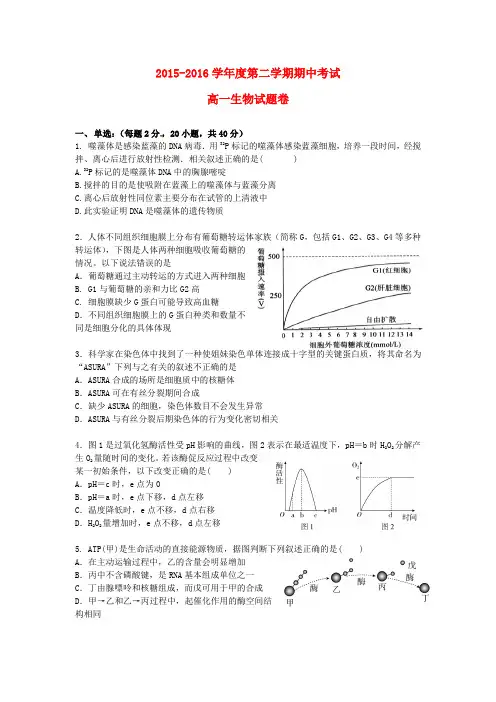 广东省深圳市罗湖外语学校2015-2016学年高一生物下学期期中试题
