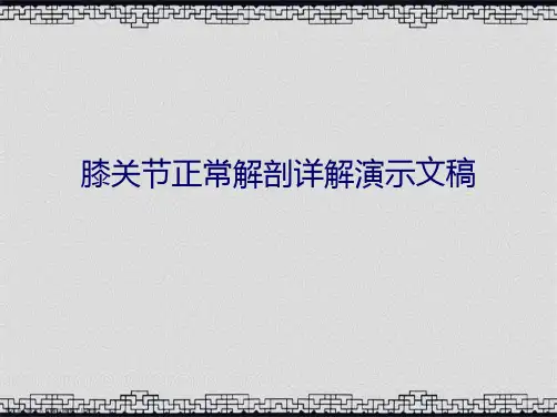 膝关节正常解剖详解演示文稿