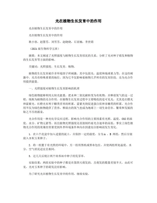 光在植物生长发育中的作用