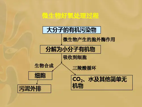 第二章好氧生物处理技术