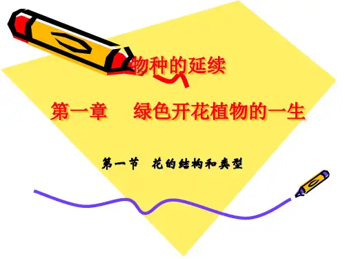 花的结构和类型PPT教学课件