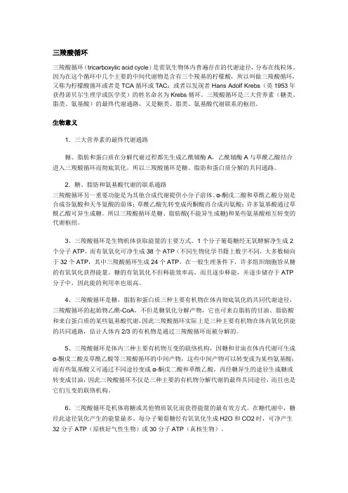 三羧酸循环